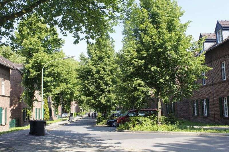 Etagenwohnung Gelsenkirchen Heßler - 4.5 Zimmer, 88 m&sup2;, 511&euro; | Angebot:27215520