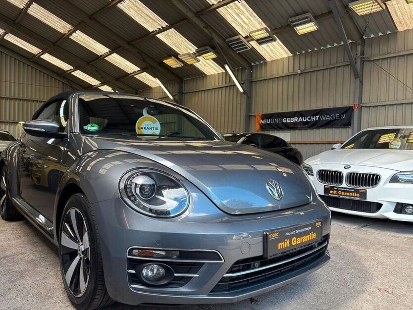 Beetle