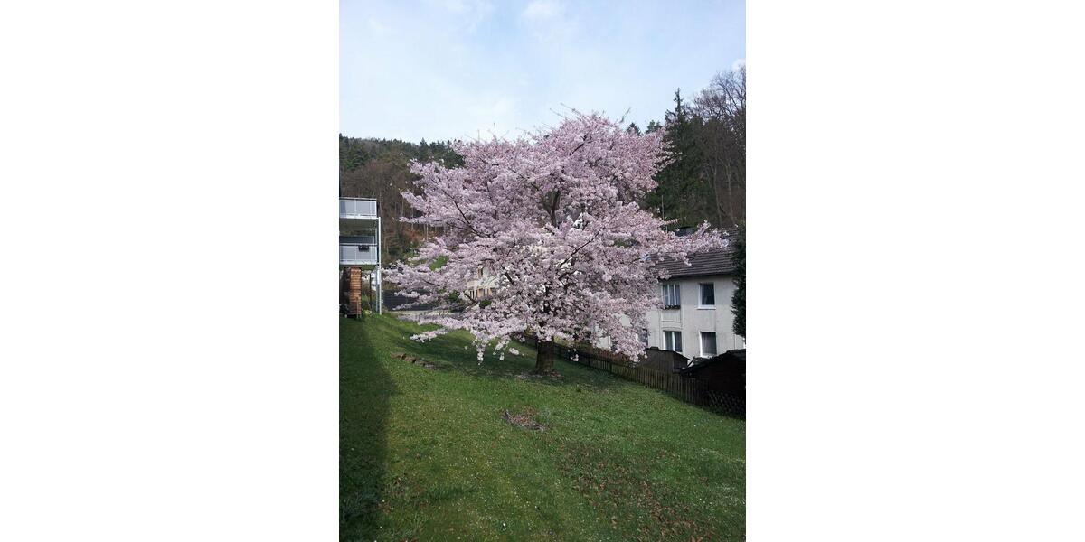 Etagenwohnung Hagen Hohenlimburg - 2 Zimmer, 55 m&sup2;, 395&euro; | Angebot:26664062
