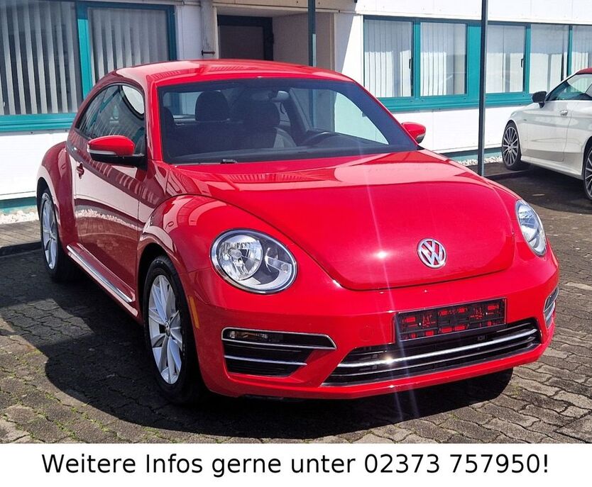 Beetle