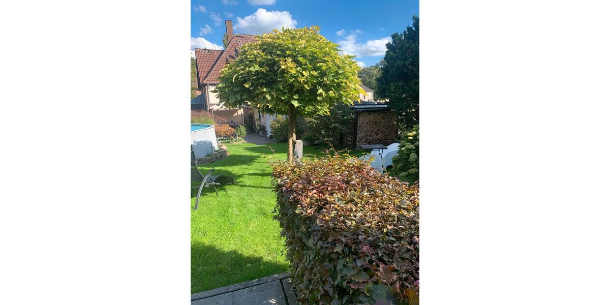 Doppelhaushälfte Waltrop - 4 Zimmer, 127 m&sup2;, 465.000&euro; | Angebot:27436316