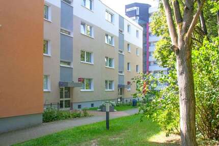 Wohnung zum Mieten in Essen 340,89 € 59.7 m²