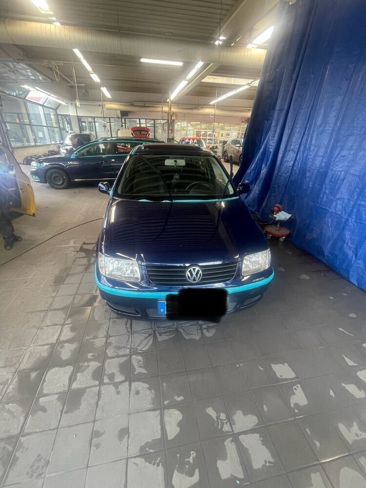 Polo