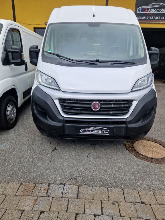 Ducato