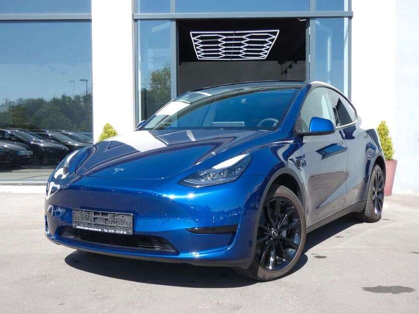 Model Y