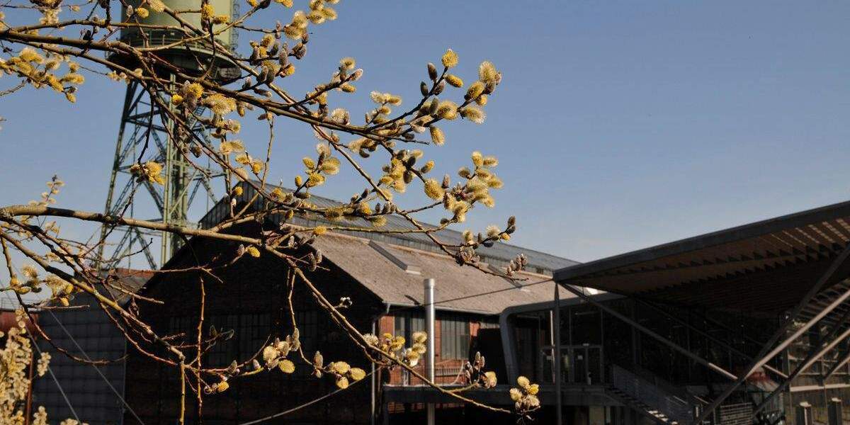 Grundstück Bochum Innenstadt - 520.800&euro; | Angebot:24687817