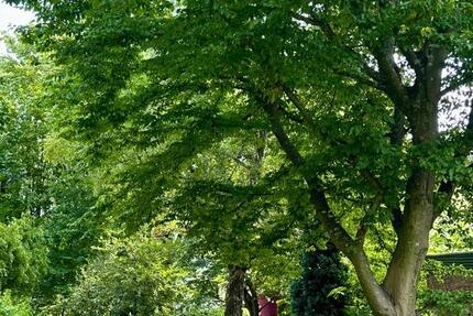 Selbstnutzer Aufgepasst- 2,5 Zimmer Wohnung mit Balkon zimmer