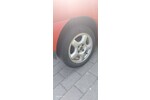 Lupo