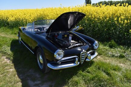 Alfa Romeo Spider 123.456 km 57.000 &euro; Kamen 59174