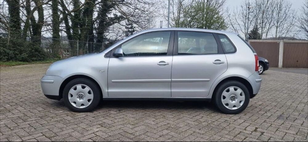 Polo
