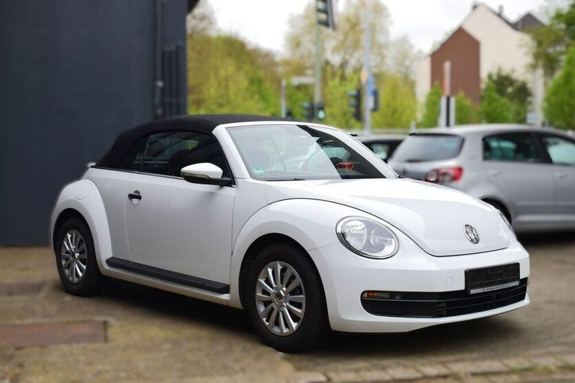 Beetle