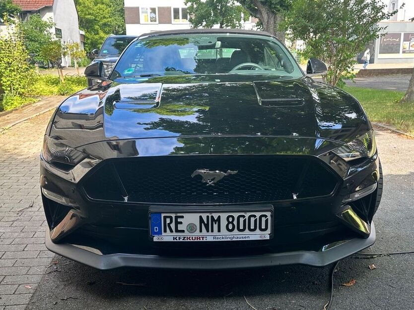 Mustang