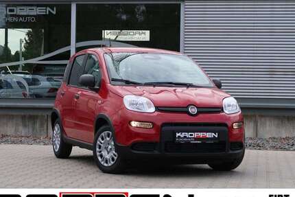Fiat Panda 3.500 km 16.780 &euro; Herten 45701