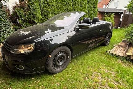VW Eos