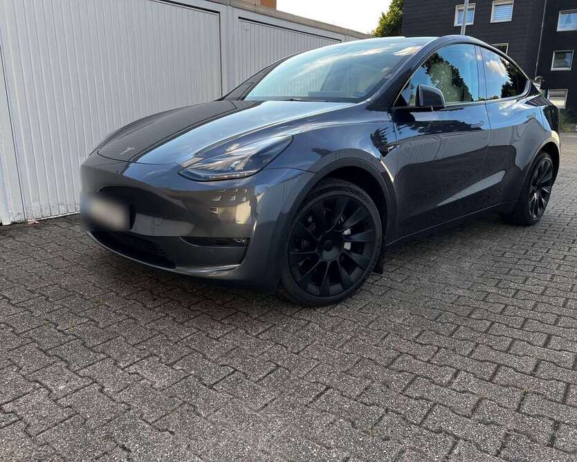 Model Y