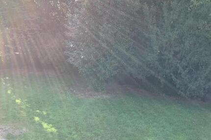 Charmante 3-Zimmer-Etagenwohnung in Recklinghausen – 77,86 m² mit Badfenster und Laminatboden 3 zimmer