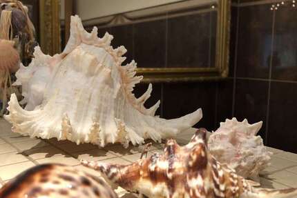 Wohnung Holzen Holzen - 2 Zimmer, 110 m&sup2;, 1.400&euro; | Angebot:25097382