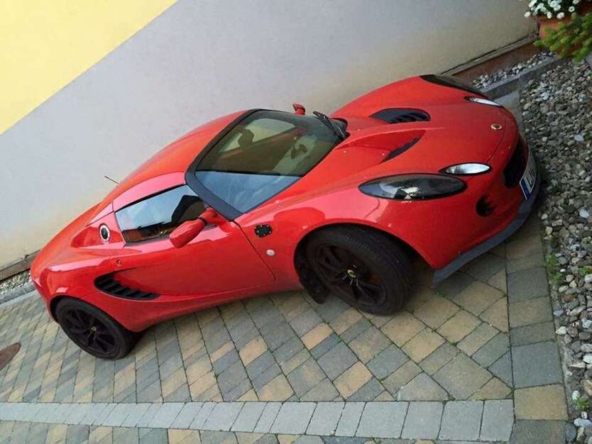 Elise