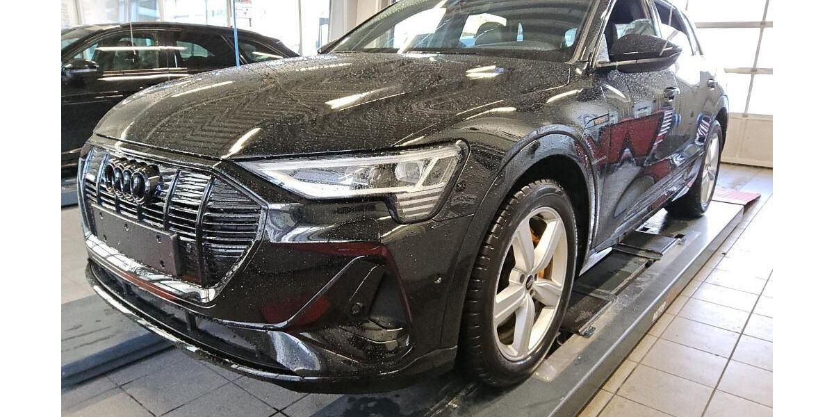 Audi e-tron 66.359 km 34.689 &euro; Hagen 58091