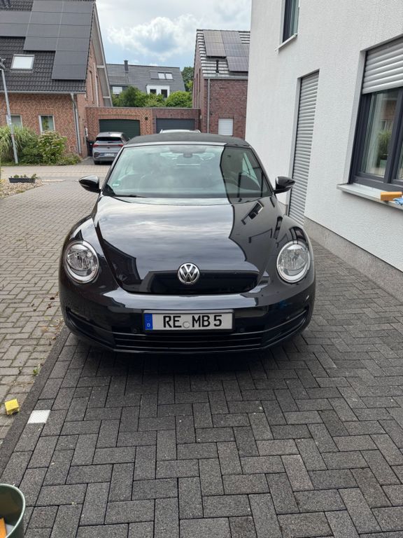Beetle