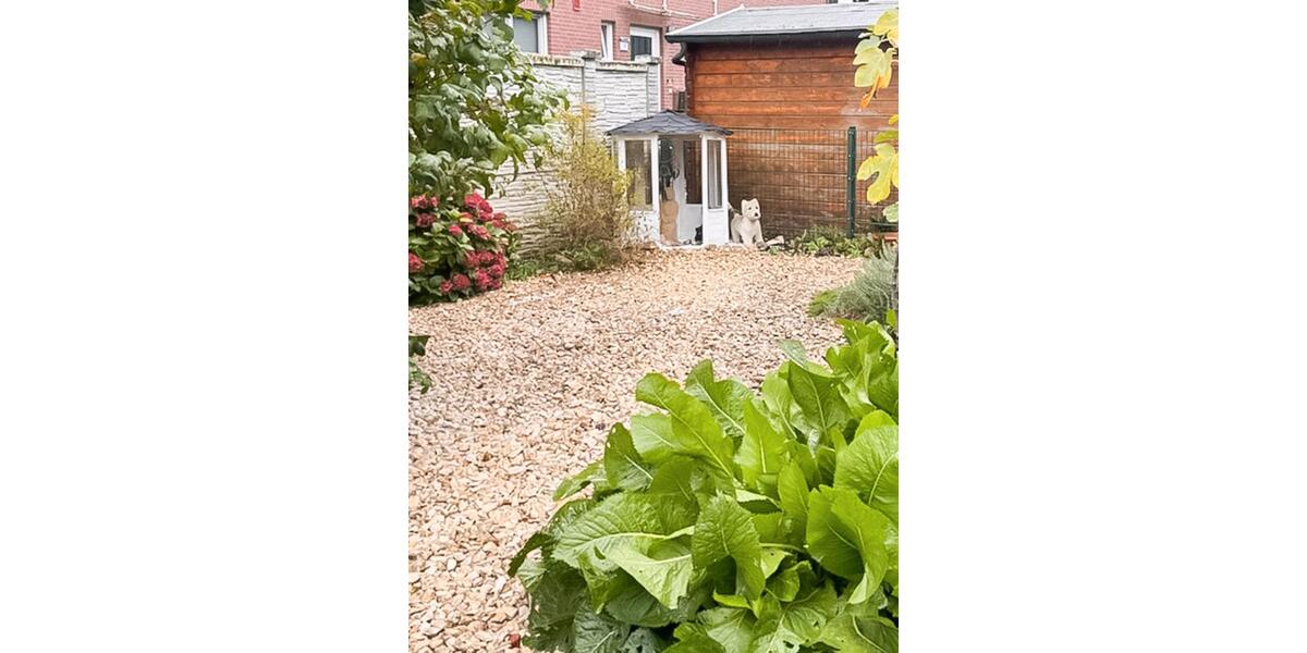 Reihenhaus Castrop-Rauxel Becklem - 4 Zimmer, 116 m&sup2;, 389.000&euro; | Angebot:24641753