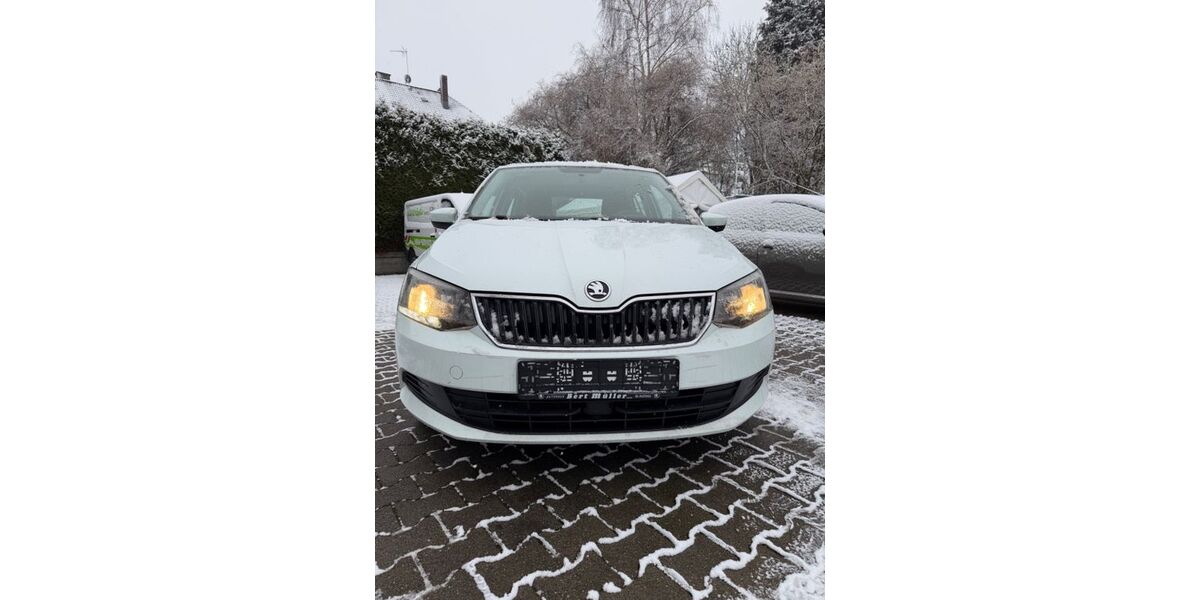 Skoda Fabia 248.964 km 5.000 &euro; Dortmund 44388