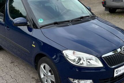 Skoda Roomster
