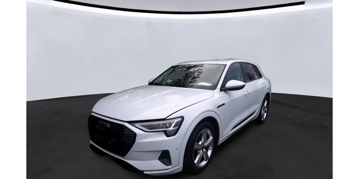 Audi e-tron 26.191 km 27.935 &euro; Hagen 58091