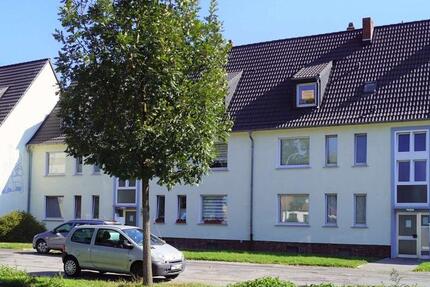 Haltener Straße 194 - gemütliche 1 ZKB Wohnung im 2. OG *mit Einbauküche* 1 zimmer