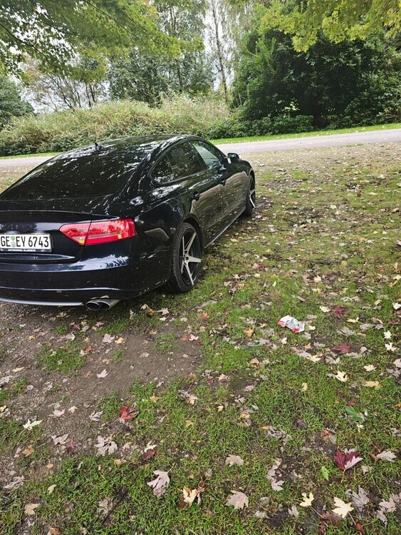 S5
