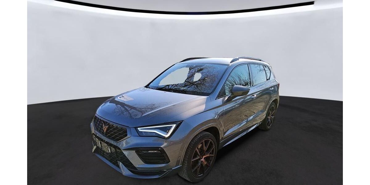 Cupra Ateca 74.116 km 28.830 &euro; Hagen 58091