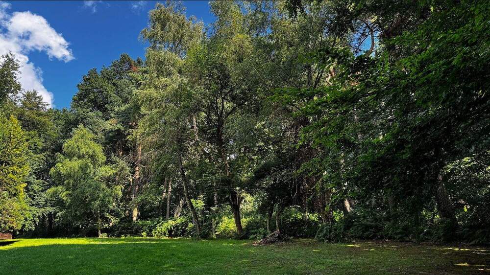 Sonnenverwöhntes Naturdomizil mit Urlaubsflair im Wannebachtal 6 zimmer