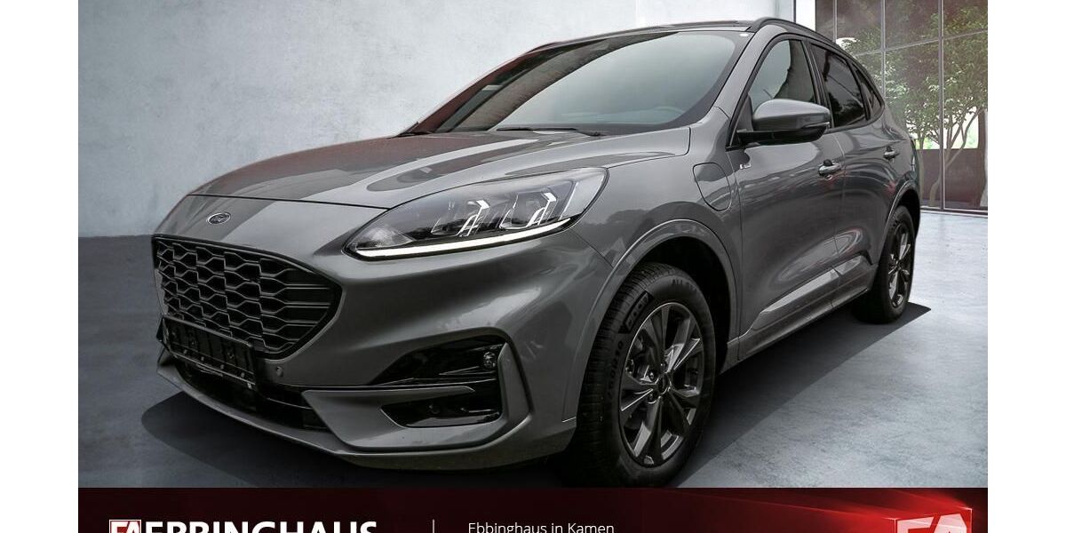 Ford Kuga 39.311 km 23.999 &euro; Kamen 59174