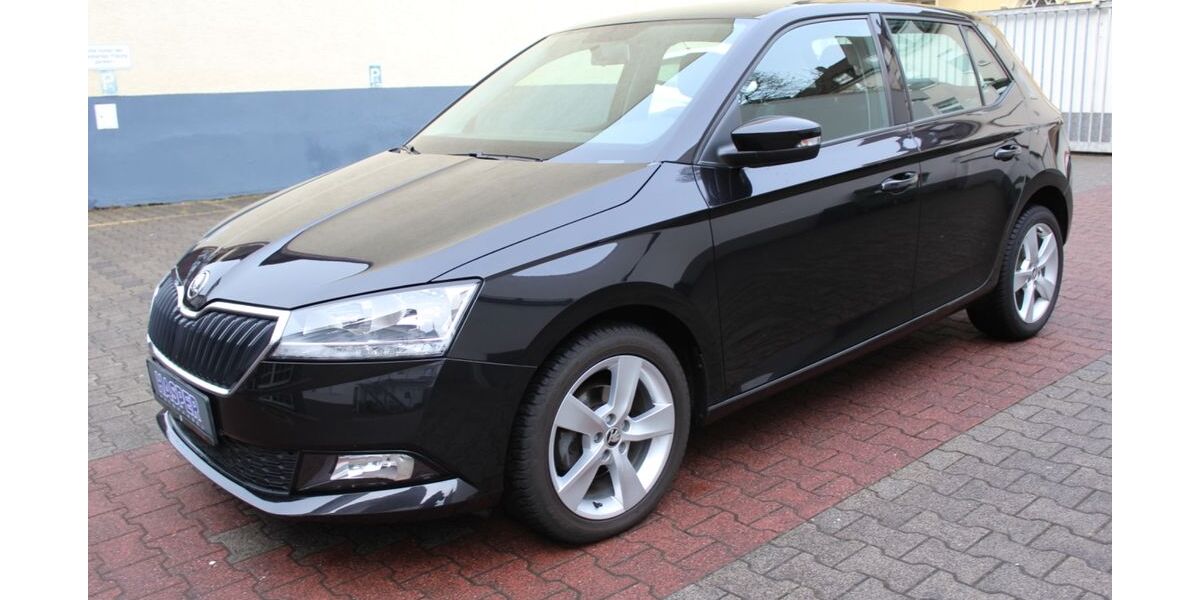 Skoda Fabia 72.000 km 8.990 &euro; Hagen 58135