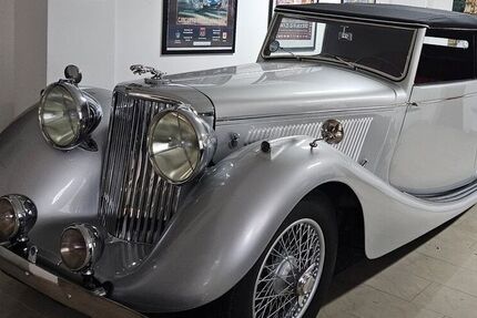 Jaguar Andere