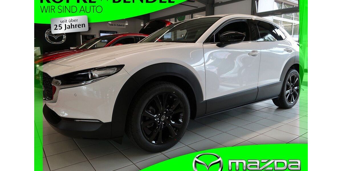 Mazda CX-30 3.140 km 27.880 &euro; Marl 45772