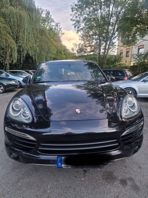 Cayenne