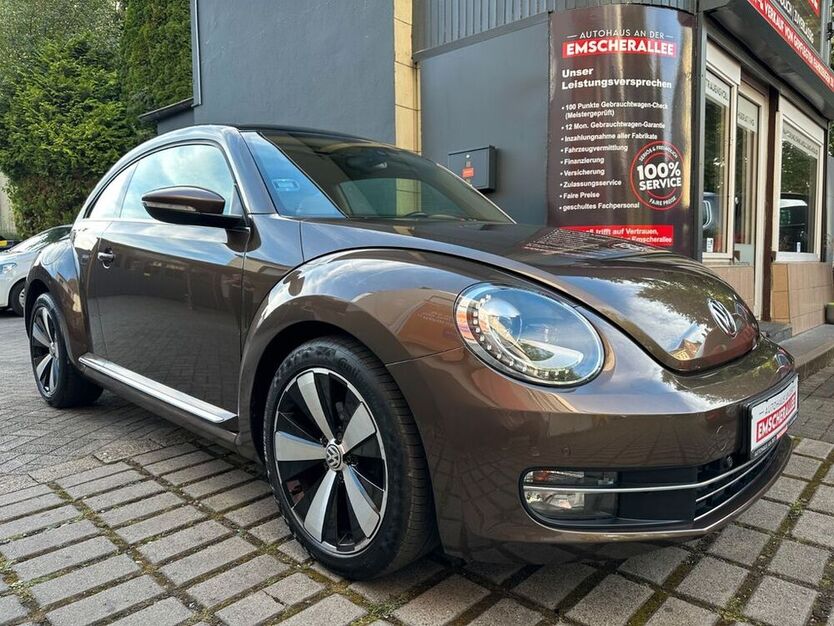 Beetle