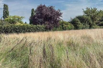 Grundstück Fröndenberg/Ruhr Frömern - 222.500&euro; | Angebot:25969979