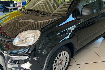 Fiat Panda 12.800 km 12.300 &euro; Iserlohn-Dröschede 58638