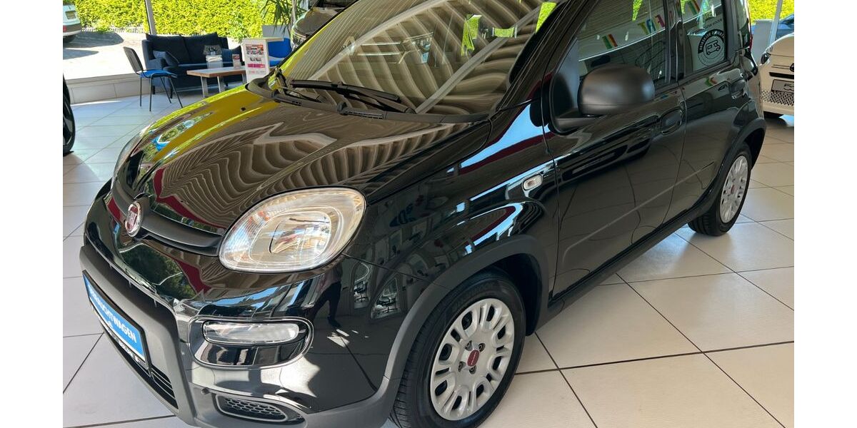 Fiat Panda 12.800 km 12.300 &euro; Iserlohn-Dröschede 58638