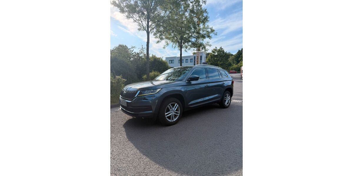 Skoda Kodiaq 234.800 km 15.600 &euro; Wetter 58300