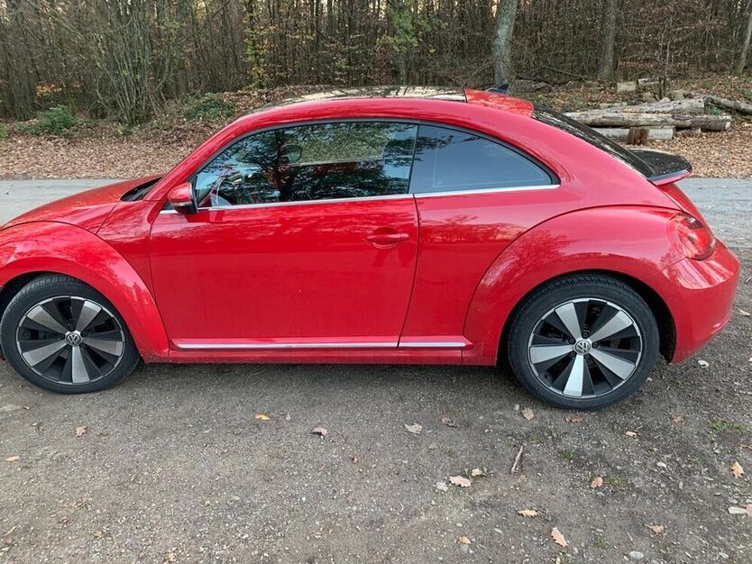 Beetle