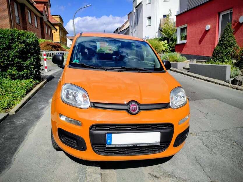 Panda