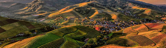 Panorama Park Sauerland