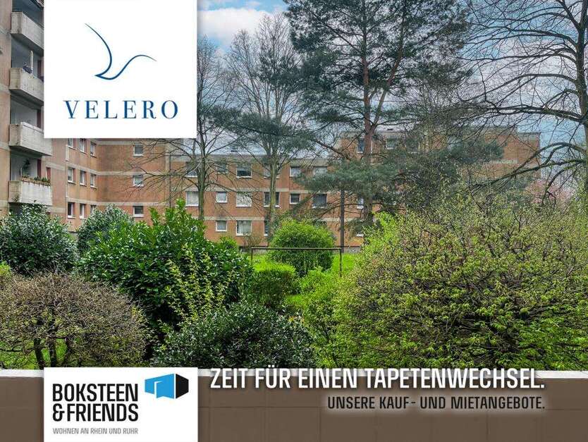 Wohnung zum Mieten in Gelsenkirchen 510 € 76 m² 3 zimmer
