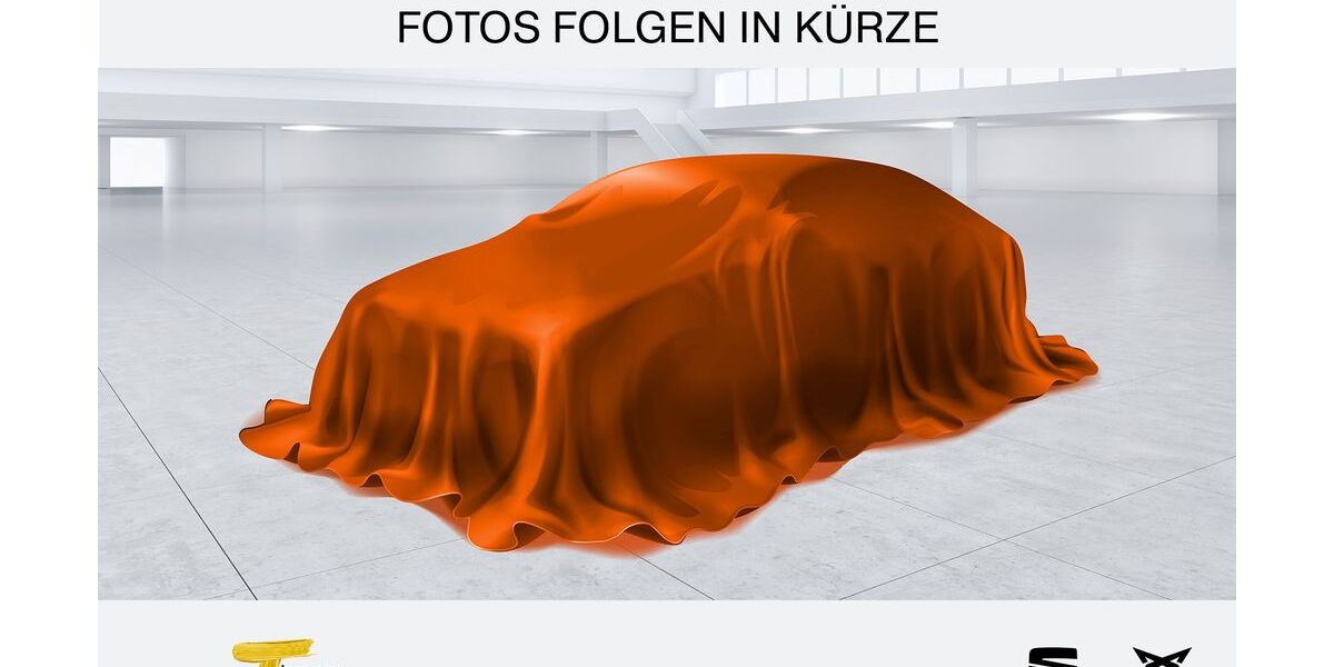 Cupra Born 114.204 km 18.880 € Recklinghausen 45663