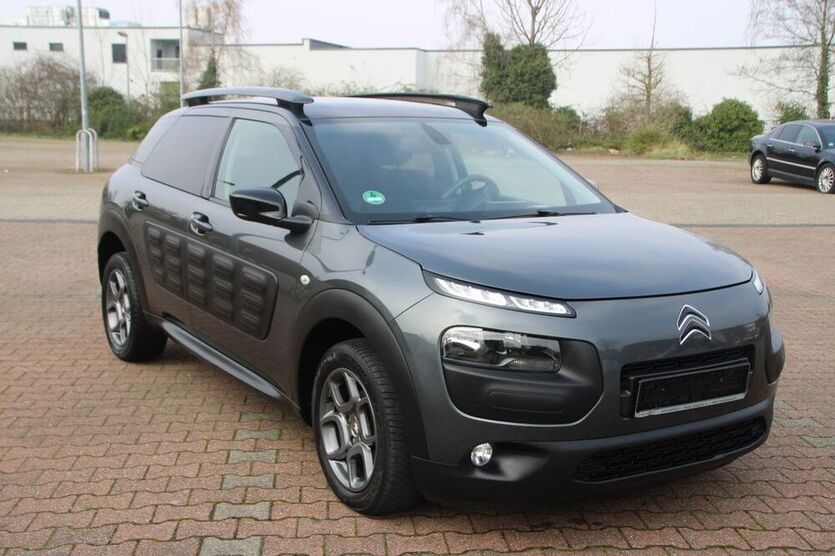 C4 Cactus