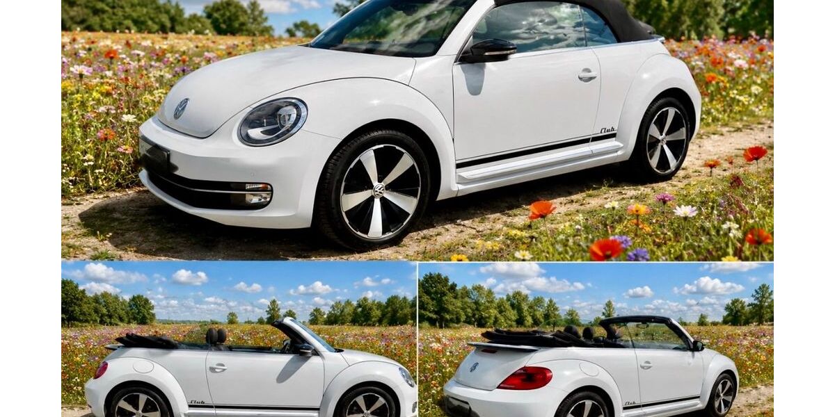 VW Beetle 48.000 km 17.400 &euro; Kamen 59174