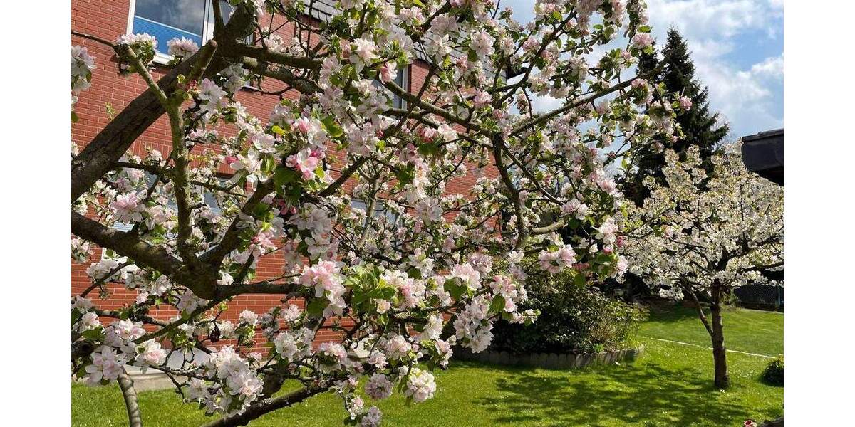 Einfamilienhaus Dortmund Berghofen - 8 Zimmer, 205 m&sup2;, 824.000&euro; | Angebot:24696851